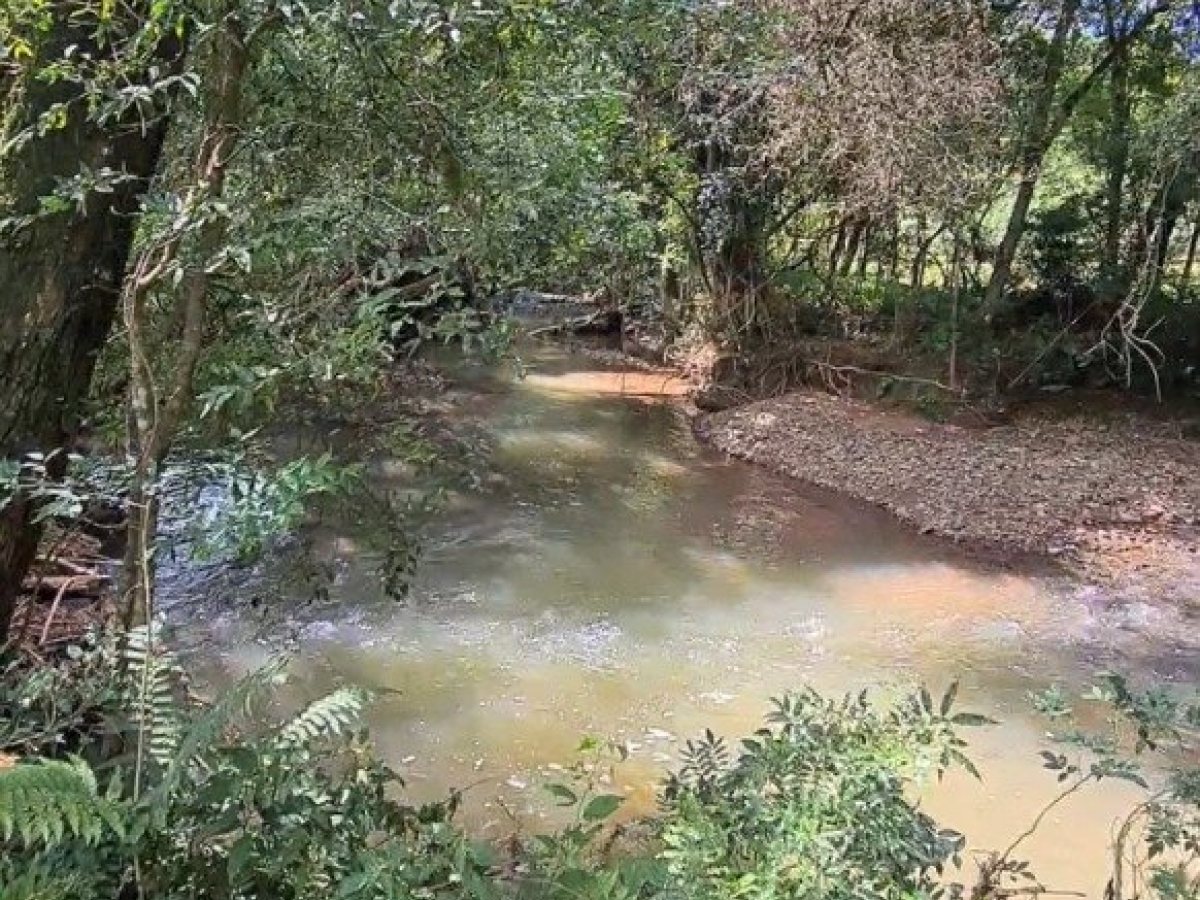 Área com 4000m², Nao suíte, no bairro Interior em Marau