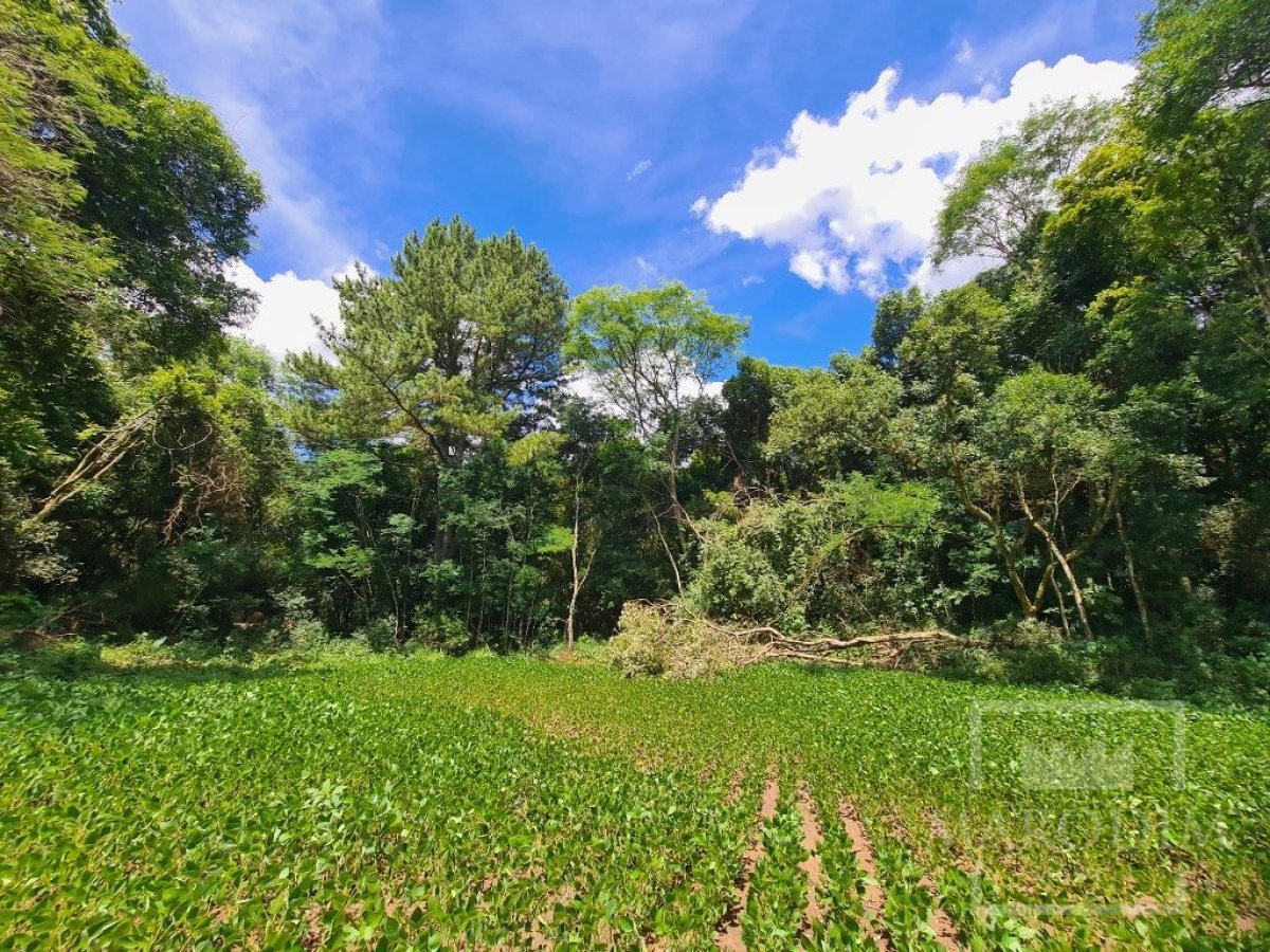 Área com 4000m², Nao suíte, no bairro Interior em Marau