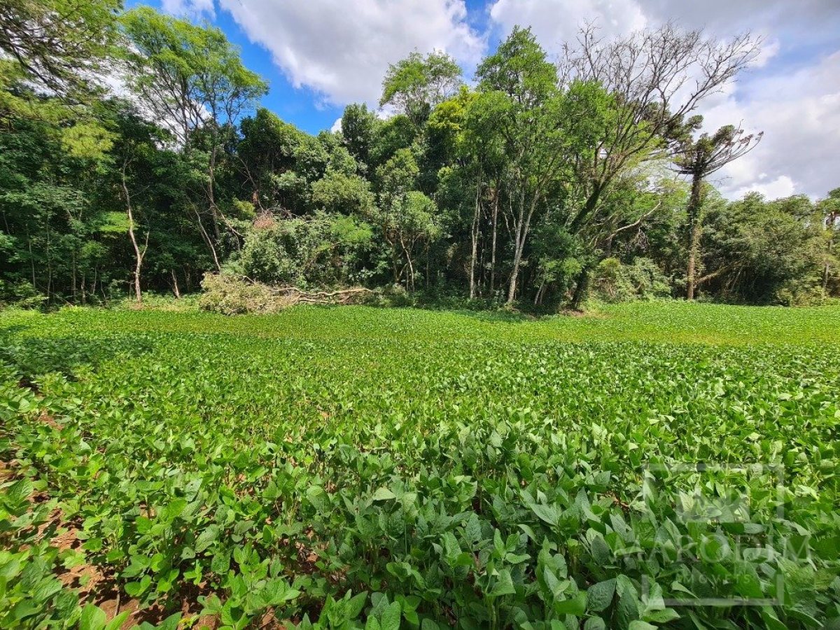 Área com 4000m², Nao suíte, no bairro Interior em Marau