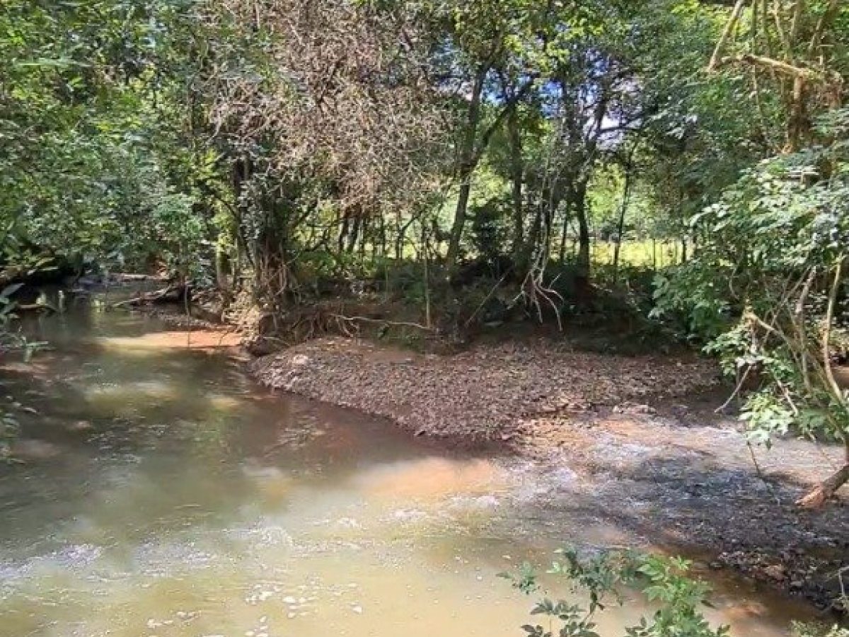 Área com 4000m², Nao suíte, no bairro Interior em Marau