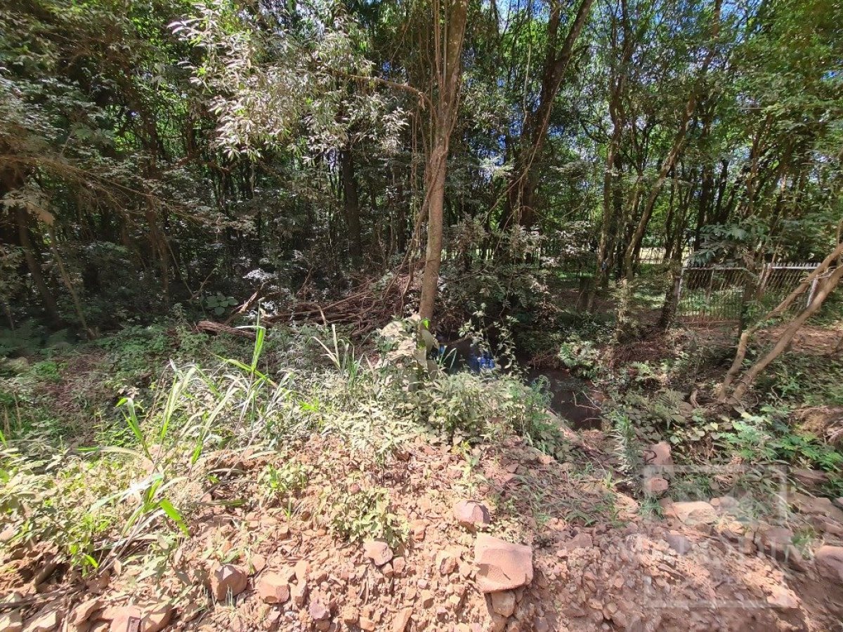 Área com 4000m², Nao suíte, no bairro Interior em Marau