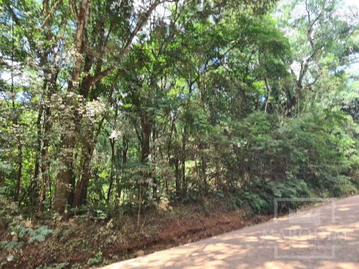 Área com 4000m², Nao suíte, no bairro Interior em Marau