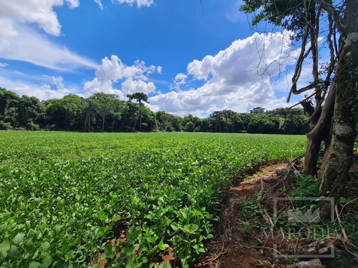 Área com 4000m², Nao suíte, no bairro Interior em Marau