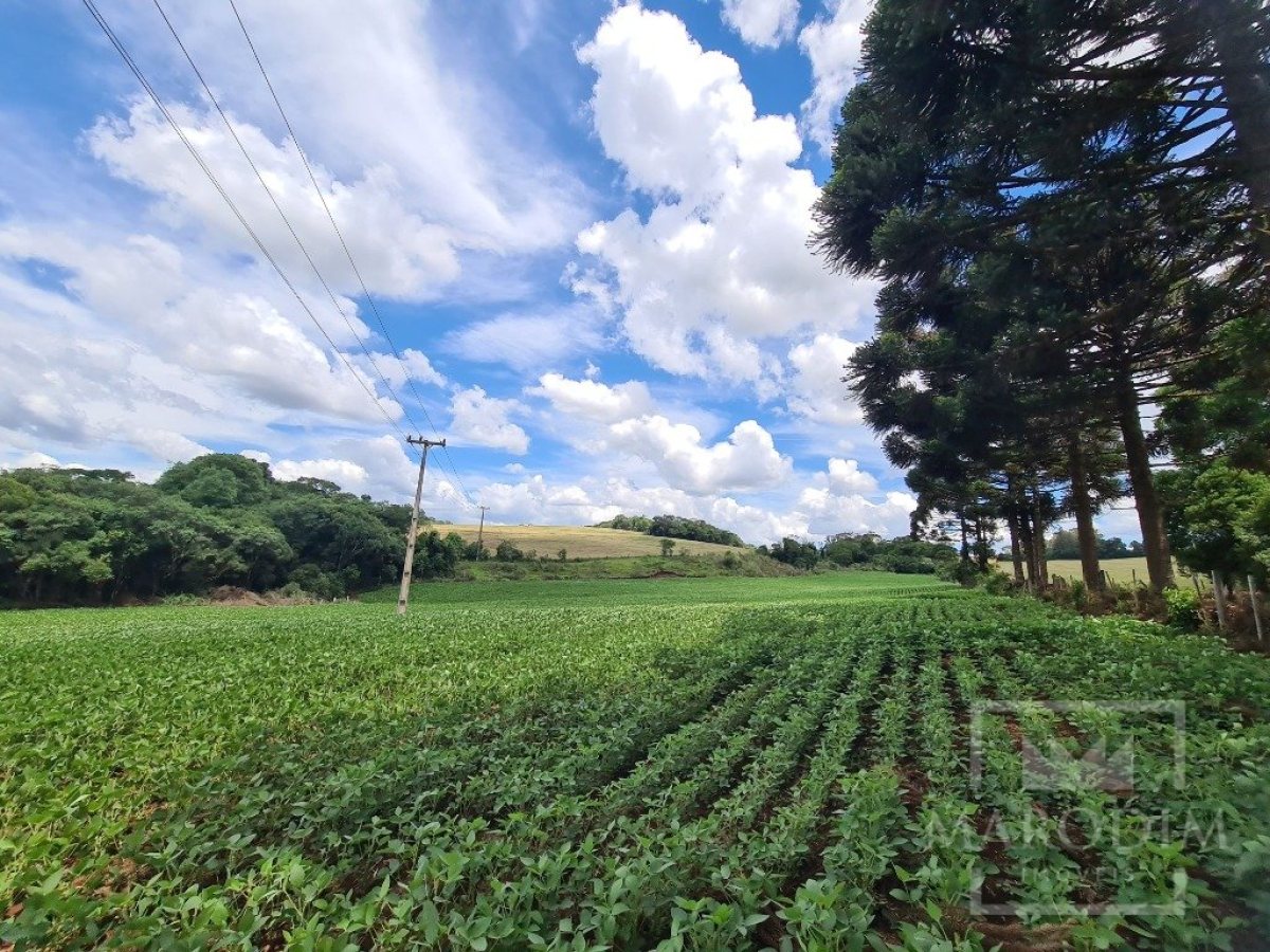 Área com 8500m², Nao suíte, no bairro Interior em Marau