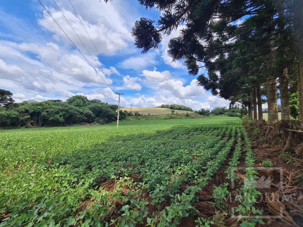 Área com 8500m², Nao suíte, no bairro Interior em Marau