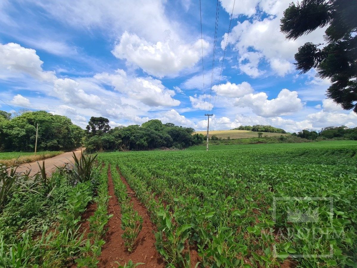 Área com 8500m², Nao suíte, no bairro Interior em Marau
