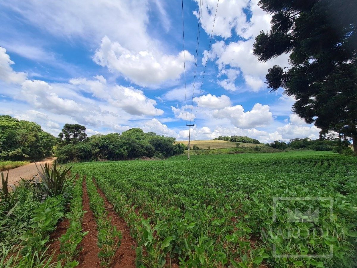 Área com 8500m², Nao suíte, no bairro Interior em Marau