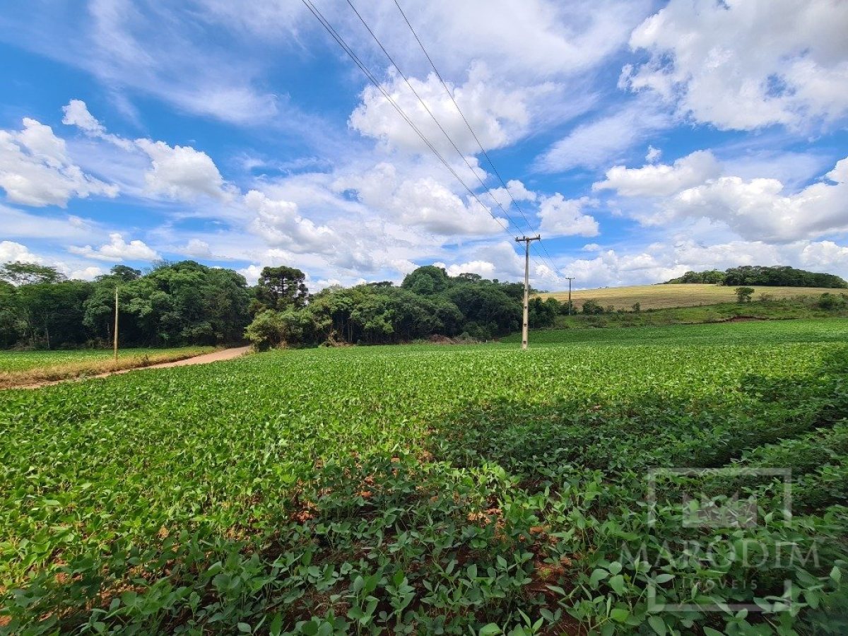 Área com 8500m², Nao suíte, no bairro Interior em Marau