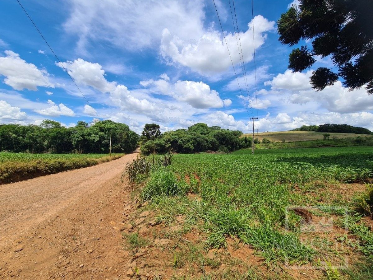 Área com 8500m², Nao suíte, no bairro Interior em Marau
