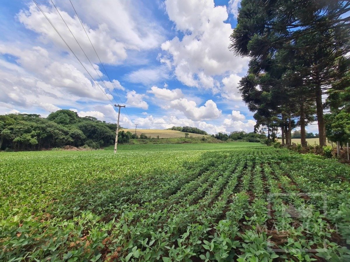Área com 8500m², Nao suíte, no bairro Interior em Marau