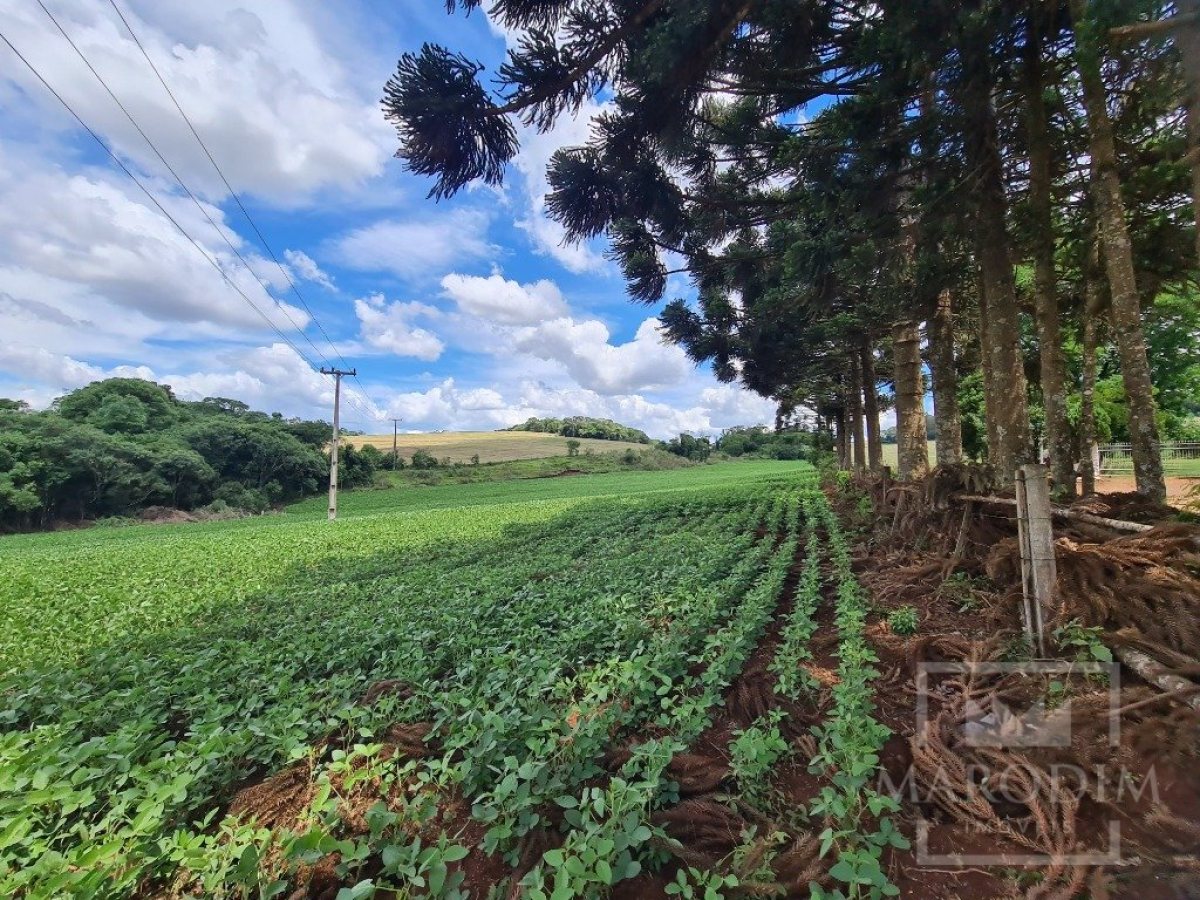 Área com 8500m², Nao suíte, no bairro Interior em Marau