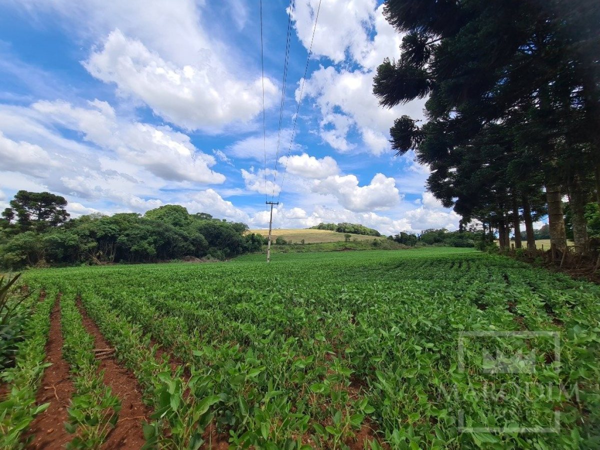 Área com 8500m², Nao suíte, no bairro Interior em Marau