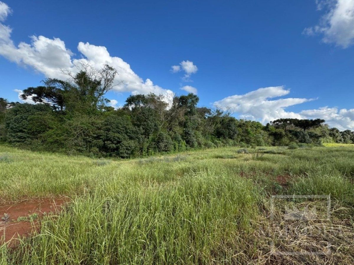 Terreno com 300m², Nao suíte, no bairro Loteamento Residencial Cidade Nova em Marau