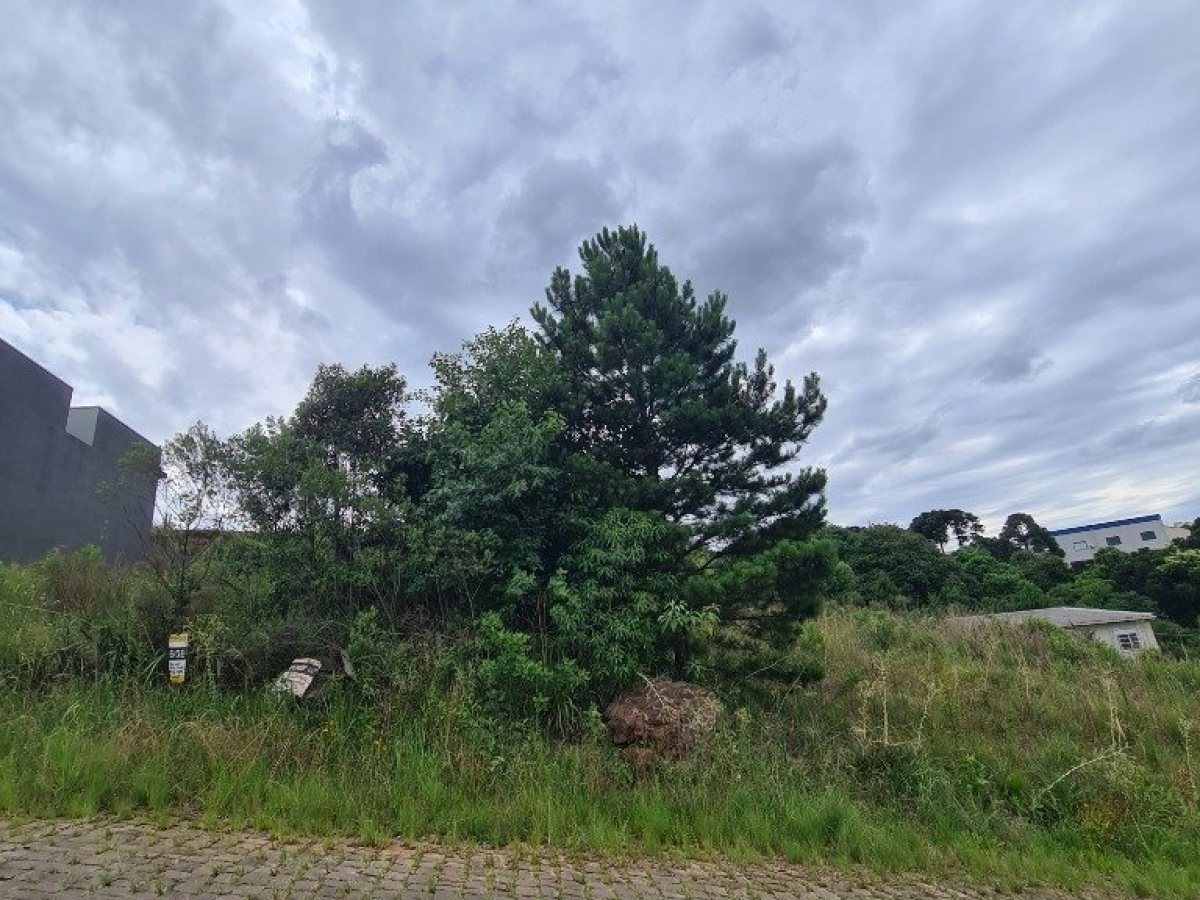 Terreno com 390m², Nao suíte, no bairro Centro em Marau