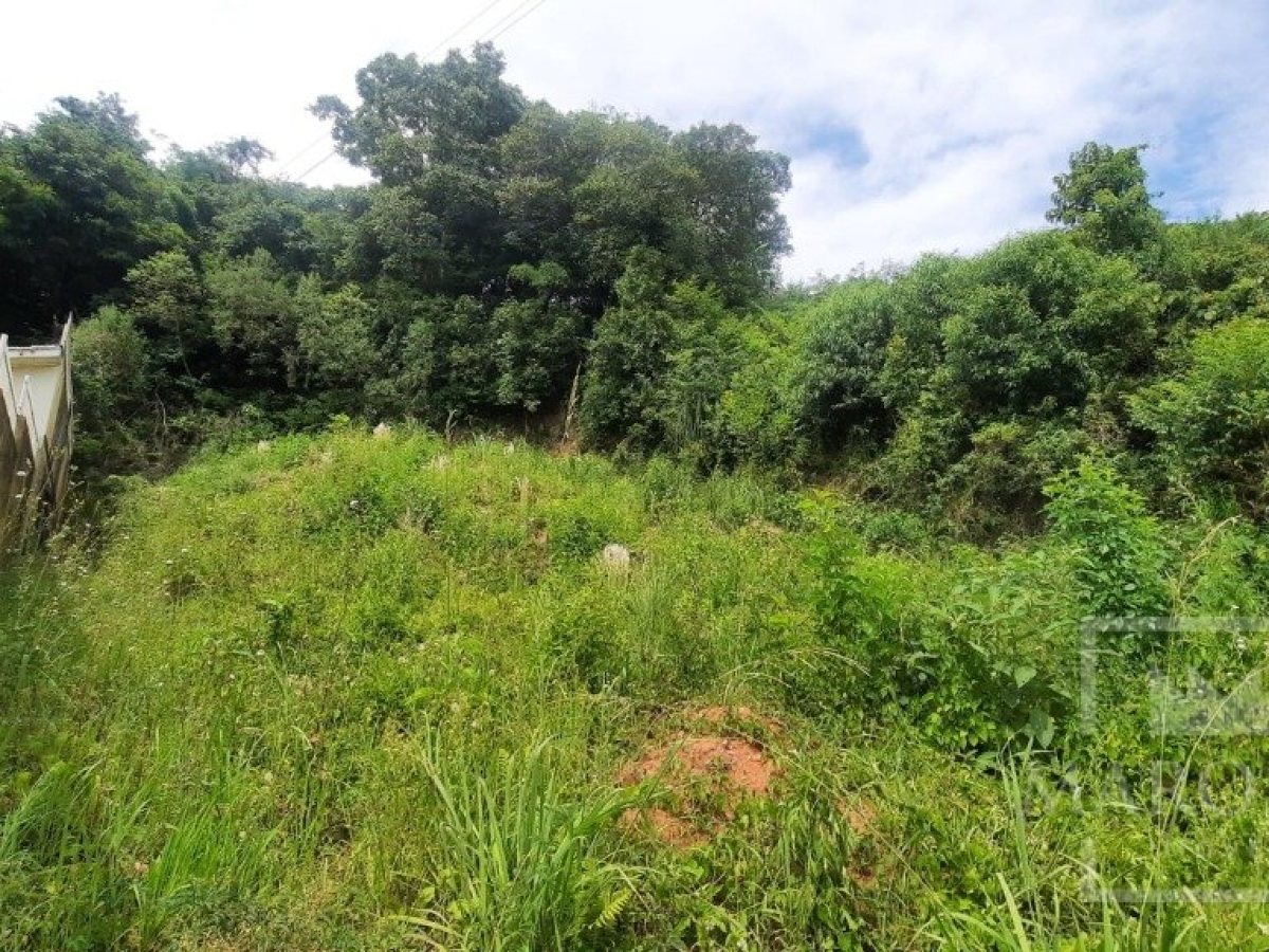 Terreno com 435m², Nao suíte, no bairro Guadalupe em Marau