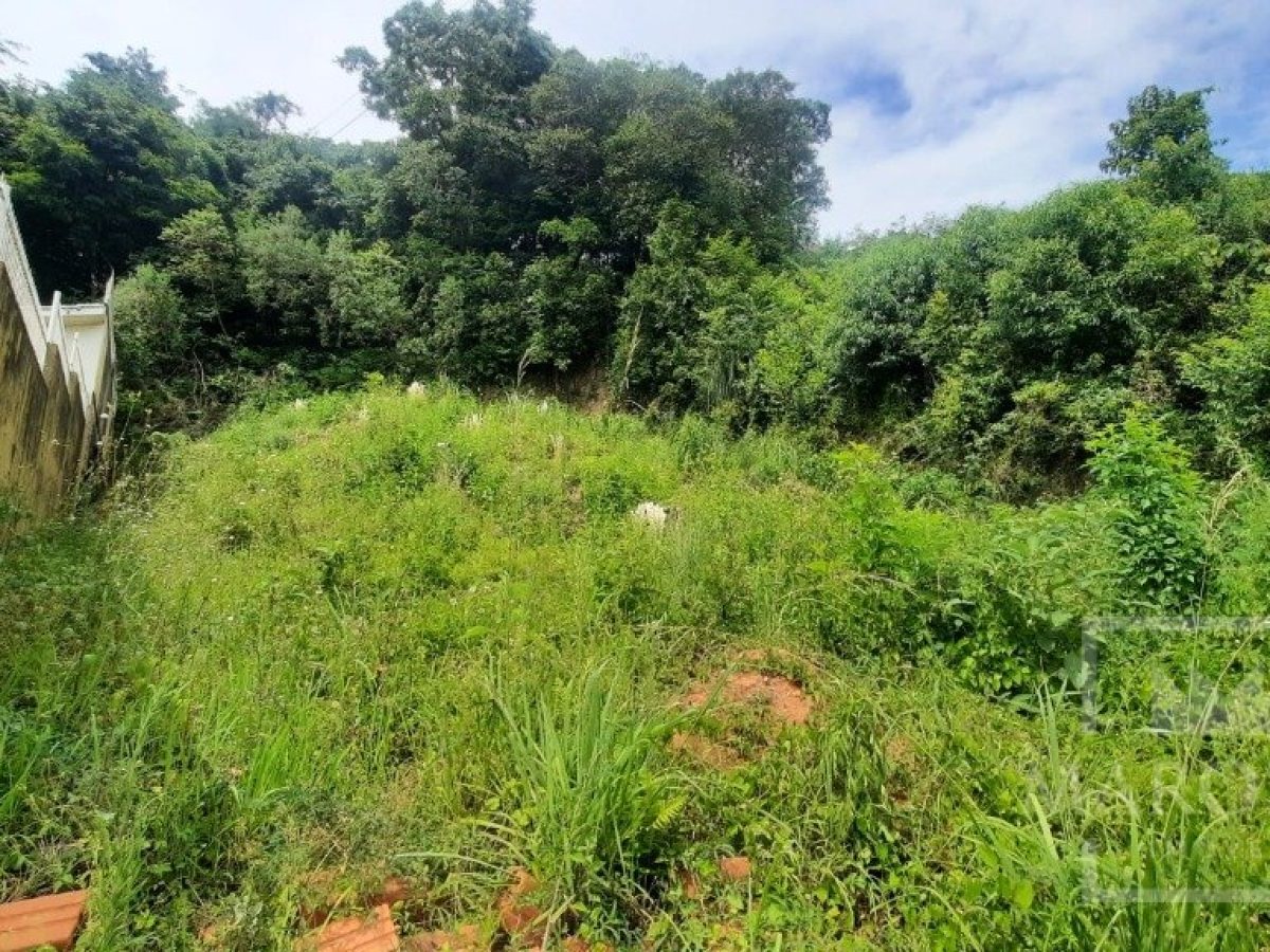 Terreno com 435m², Nao suíte, no bairro Guadalupe em Marau