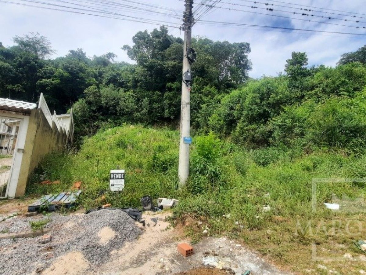 Terreno com 435m², Nao suíte, no bairro Guadalupe em Marau