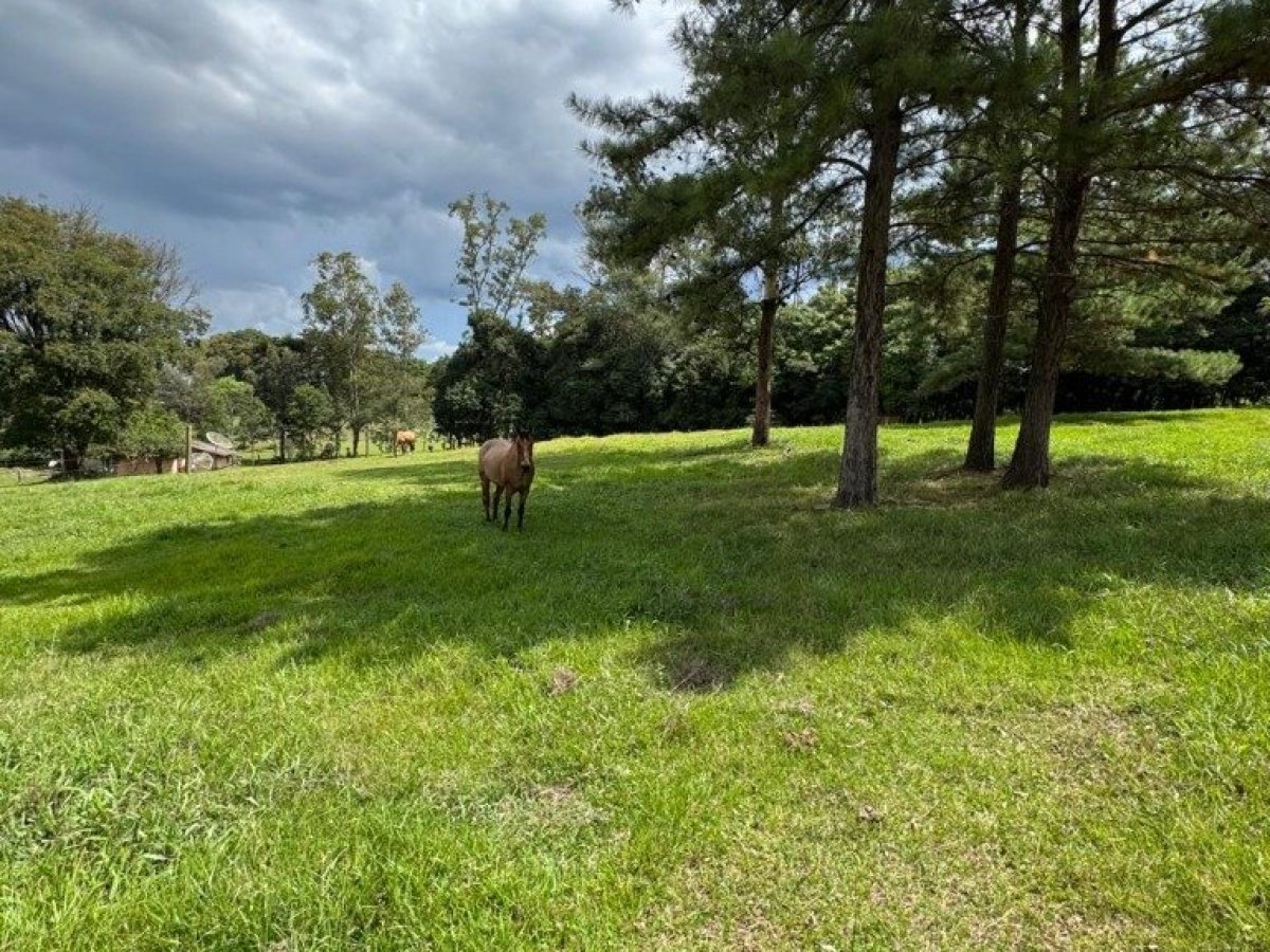 Sítio com 17000m², Nao suíte, no bairro Loteamento Residencial Cidade Nova em Marau