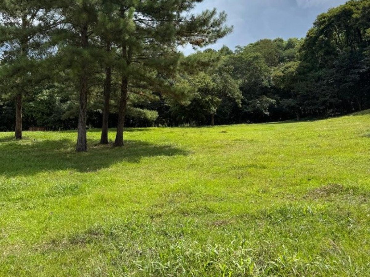 Sítio com 17000m², Nao suíte, no bairro Loteamento Residencial Cidade Nova em Marau