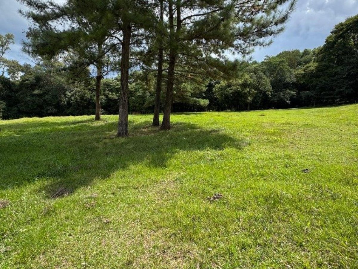 Sítio com 17000m², Nao suíte, no bairro Loteamento Residencial Cidade Nova em Marau