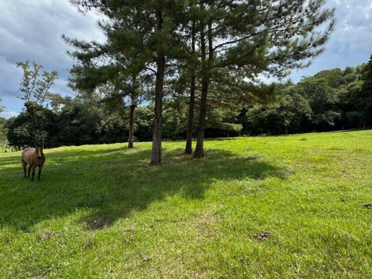 Sítio com 17000m², Nao suíte, no bairro Loteamento Residencial Cidade Nova em Marau