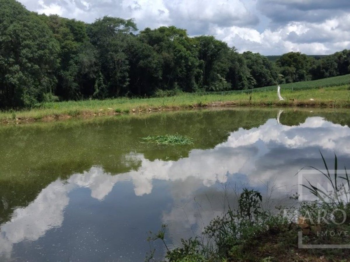 Sítio com 14000m², Nao suíte, no bairro Interior em Marau