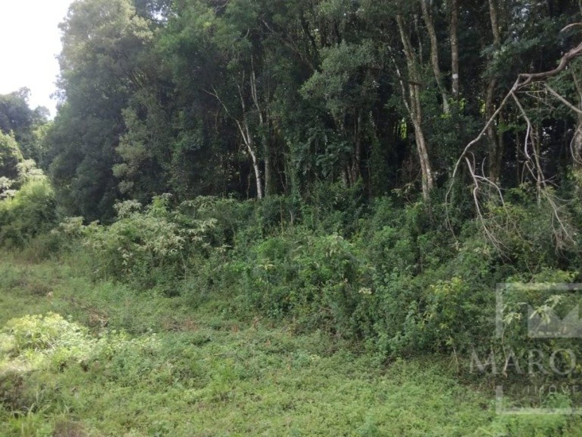 Sítio com 14000m², Nao suíte, no bairro Interior em Marau