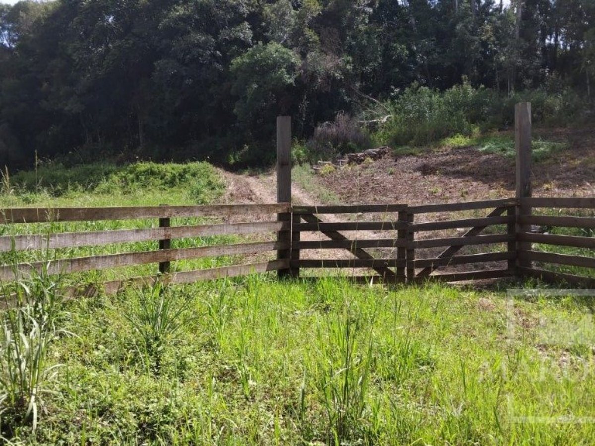 Sítio com 14000m², Nao suíte, no bairro Interior em Marau