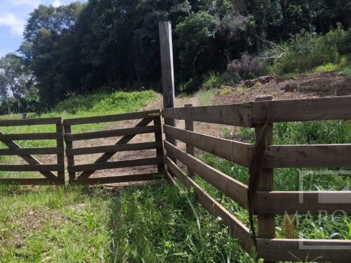 Sítio com 14000m², Nao suíte, no bairro Interior em Marau