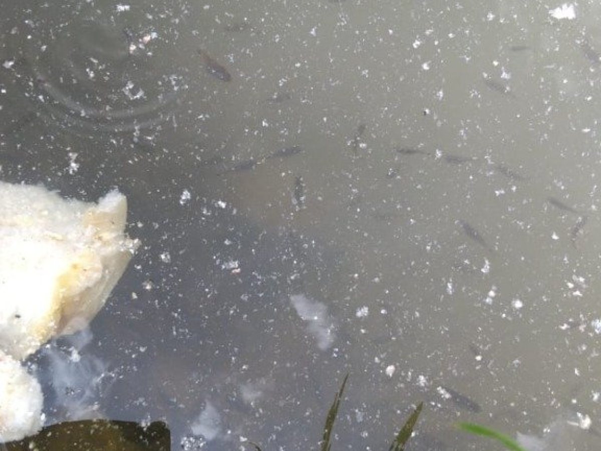 Sítio com 14000m², Nao suíte, no bairro Interior em Marau