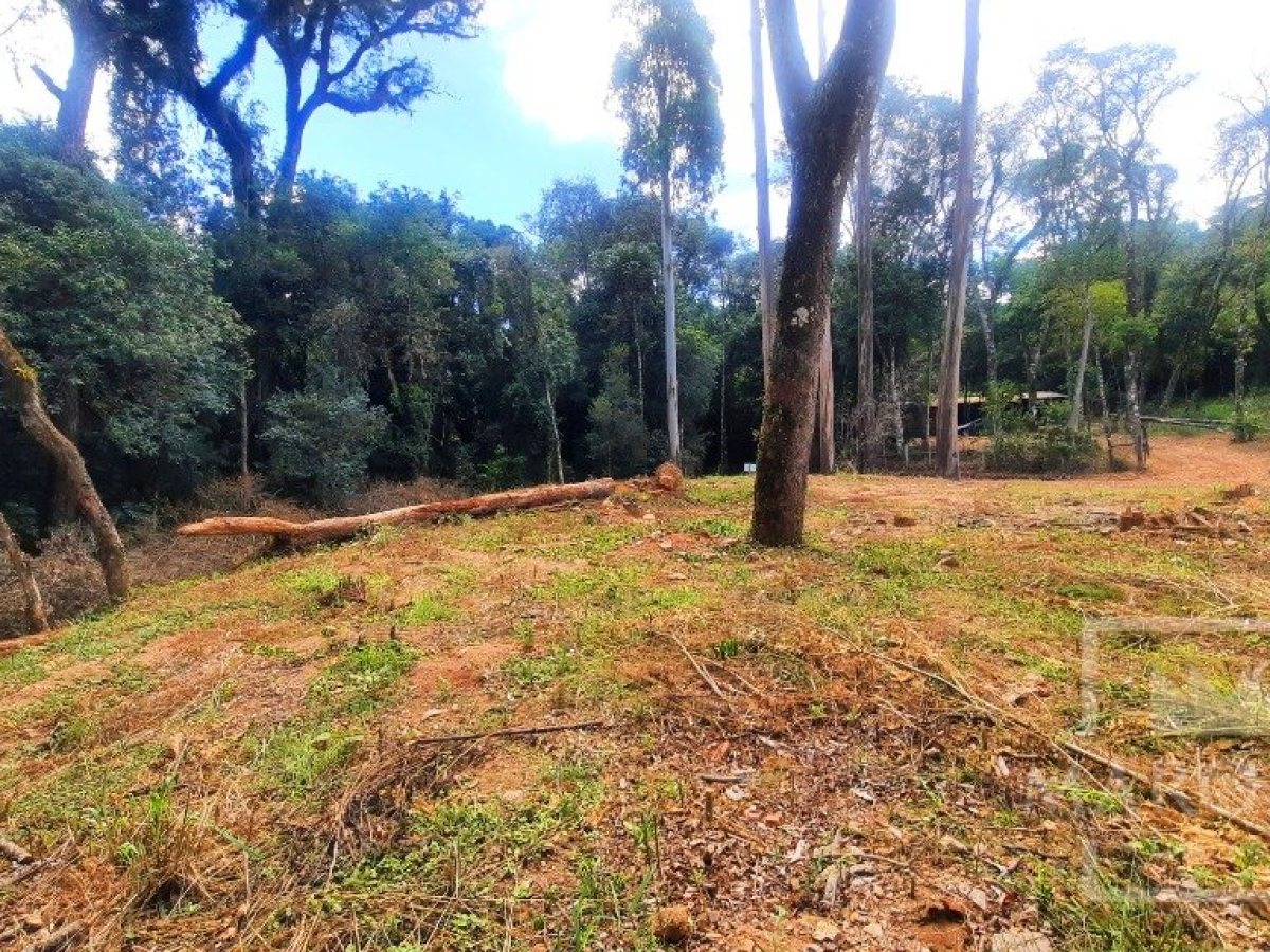 Área com 1200m², Nao suíte, no bairro Interior em Marau