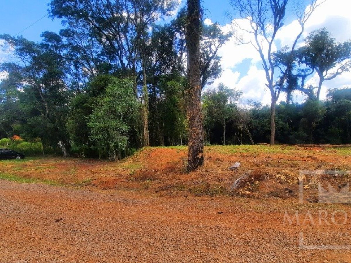 Área com 1200m², Nao suíte, no bairro Interior em Marau