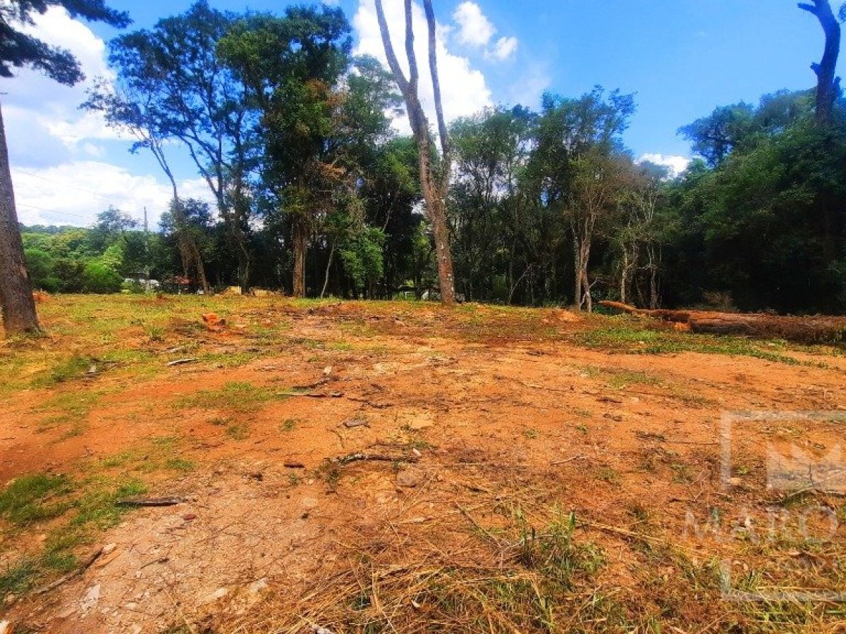 Área com 1200m², Nao suíte, no bairro Interior em Marau