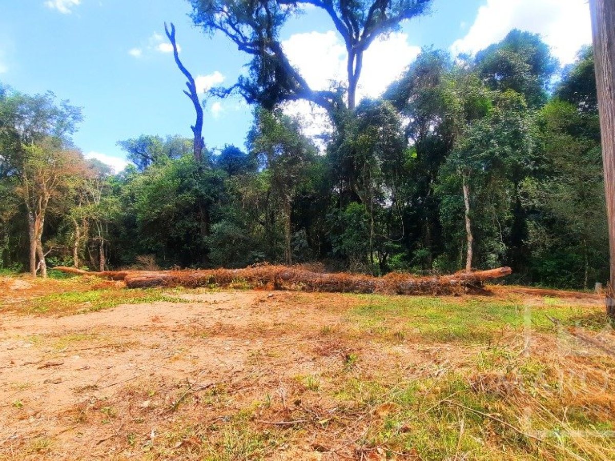 Área com 1200m², Nao suíte, no bairro Interior em Marau