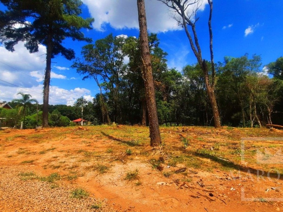 Área com 1200m², Nao suíte, no bairro Interior em Marau