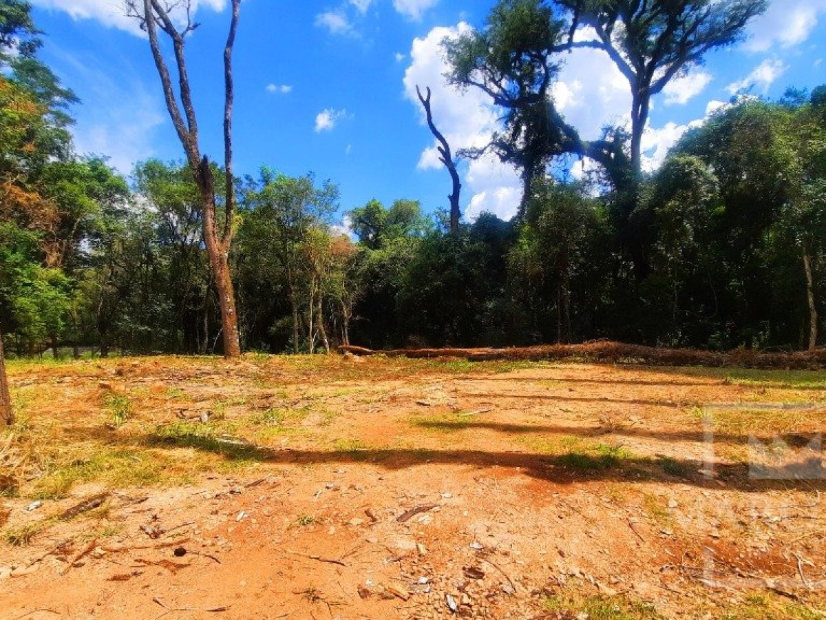 Área com 1200m², Nao suíte, no bairro Interior em Marau