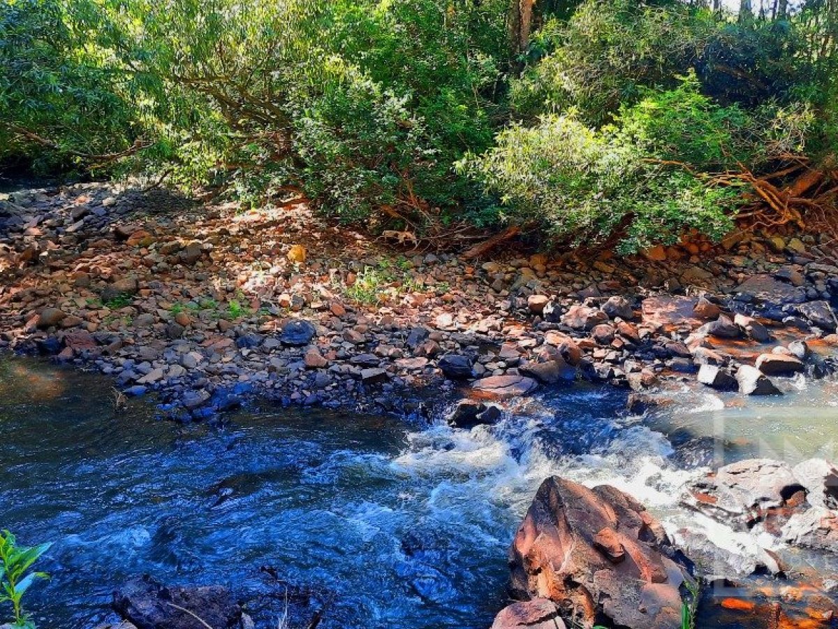 Sítio com 4695m², 2 dormitórios, Nao suíte, no bairro Interior em Marau