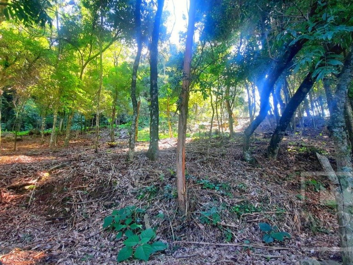 Sítio com 4695m², 2 dormitórios, Nao suíte, no bairro Interior em Marau