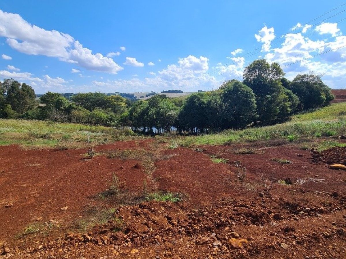 Terreno com 354m², Nao suíte, no bairro Rodovia ERS 324 em Marau
