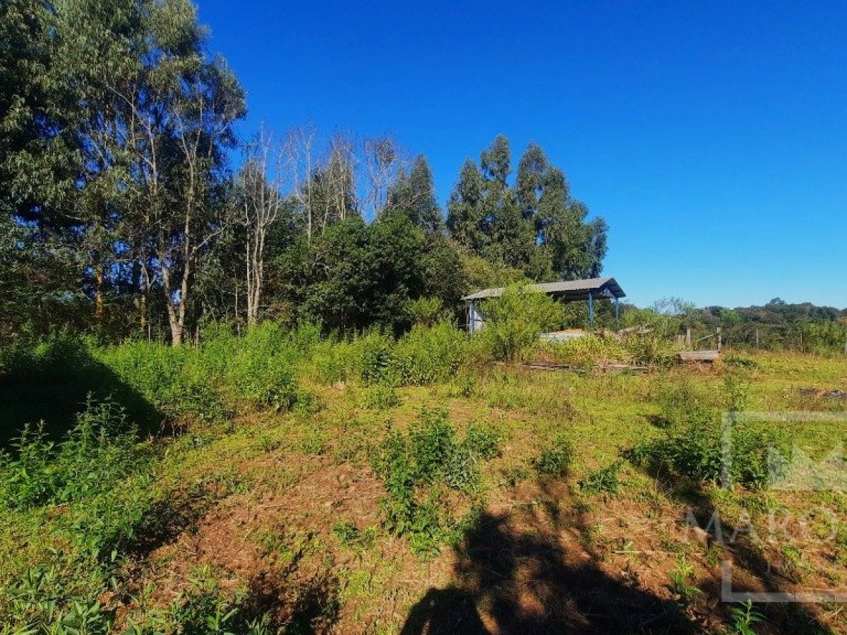 Área com 16300m², Nao suíte, no bairro Interior em Marau