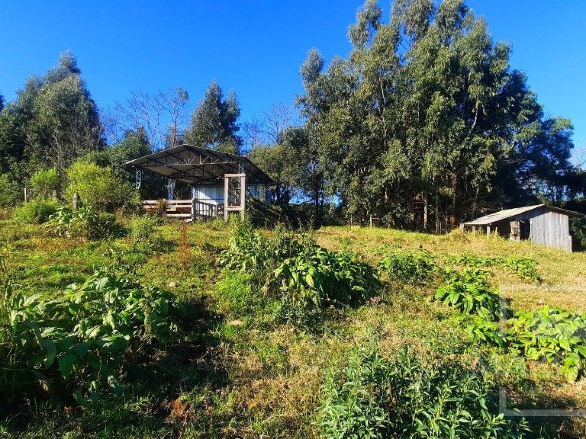 Área com 16300m², Nao suíte, no bairro Interior em Marau