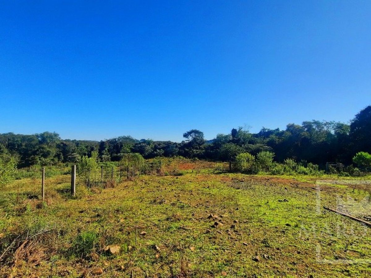 Área com 16300m², Nao suíte, no bairro Interior em Marau