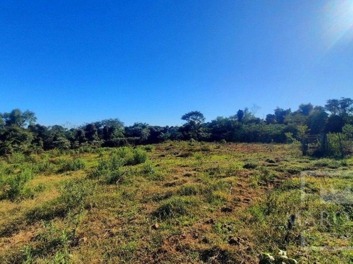 Área com 16300m², Nao suíte, no bairro Interior em Marau