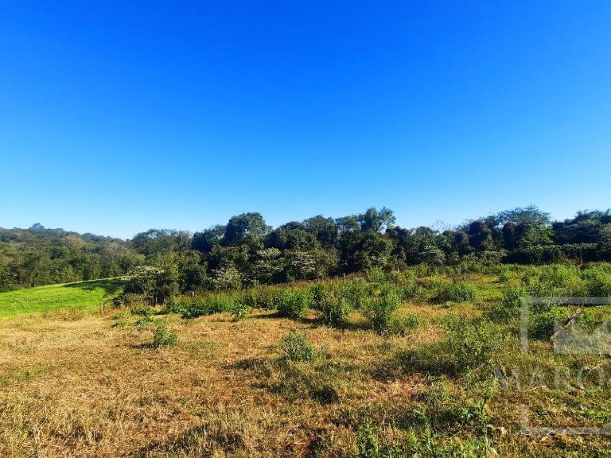 Área com 16300m², Nao suíte, no bairro Interior em Marau