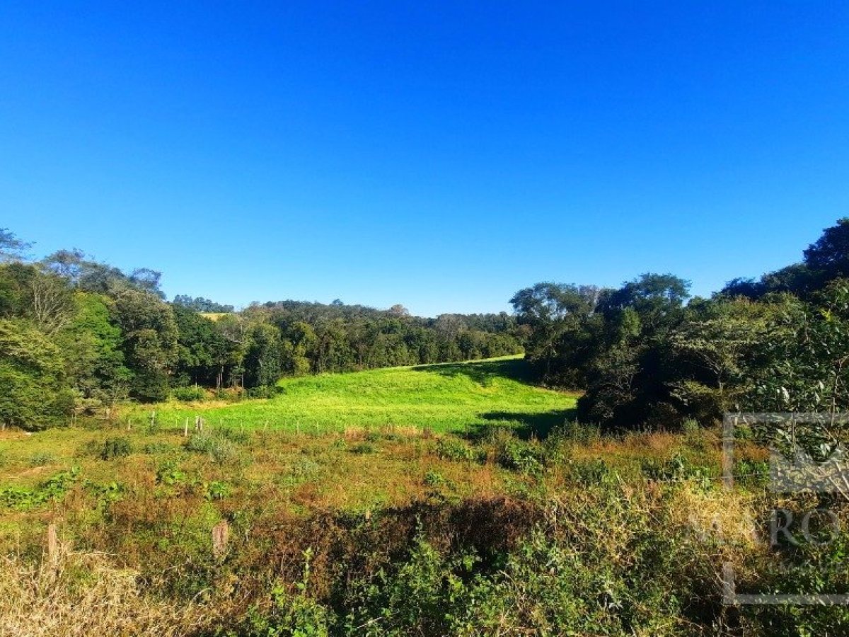 Área com 16300m², Nao suíte, no bairro Interior em Marau