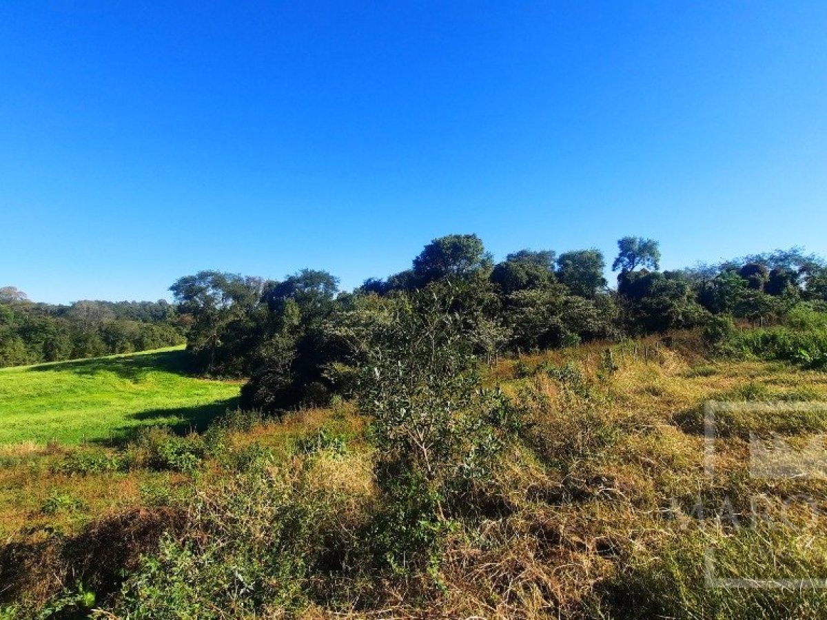 Área com 16300m², Nao suíte, no bairro Interior em Marau