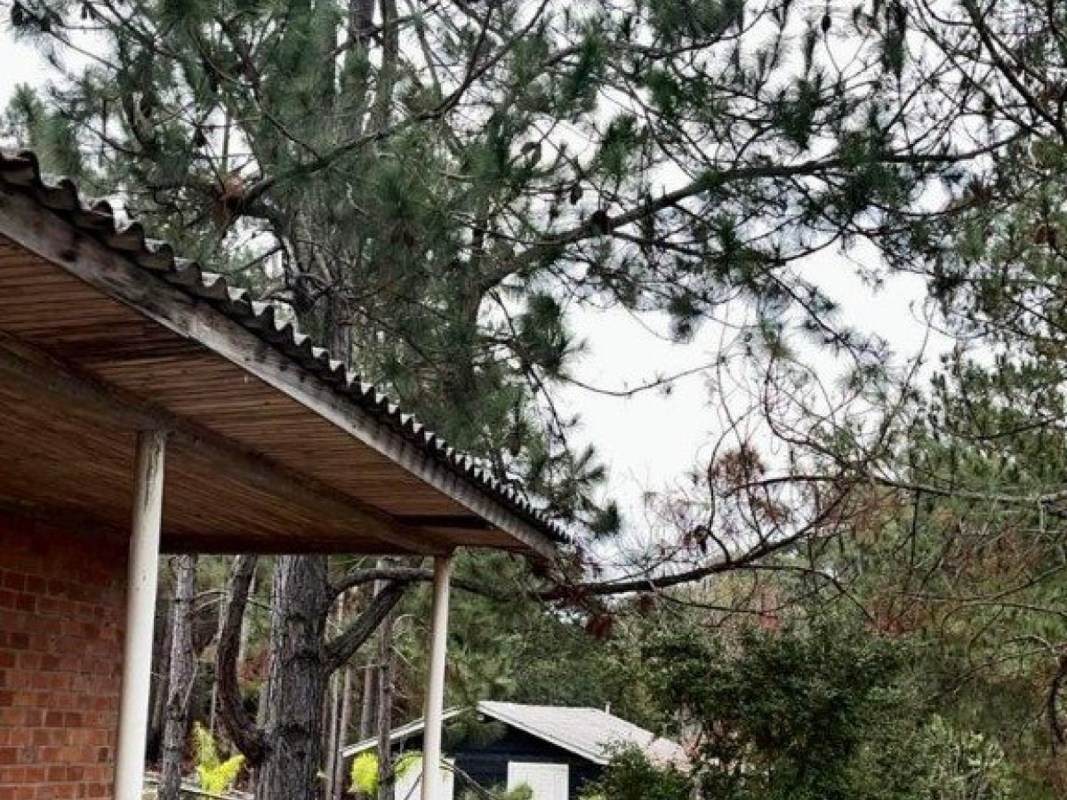 Sítio com 70m², 2 dormitórios, Nao suíte, no bairro Interior em Marau