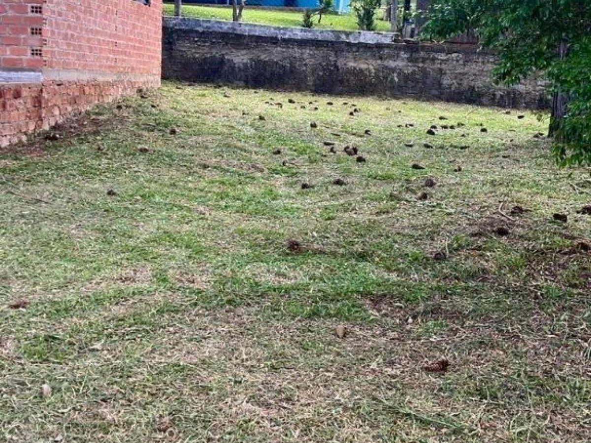 Sítio com 70m², 2 dormitórios, Nao suíte, no bairro Interior em Marau