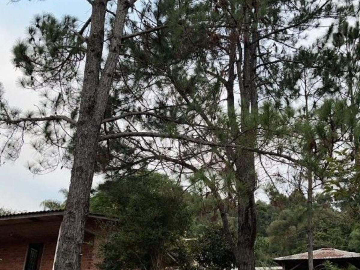 Sítio com 70m², 2 dormitórios, Nao suíte, no bairro Interior em Marau