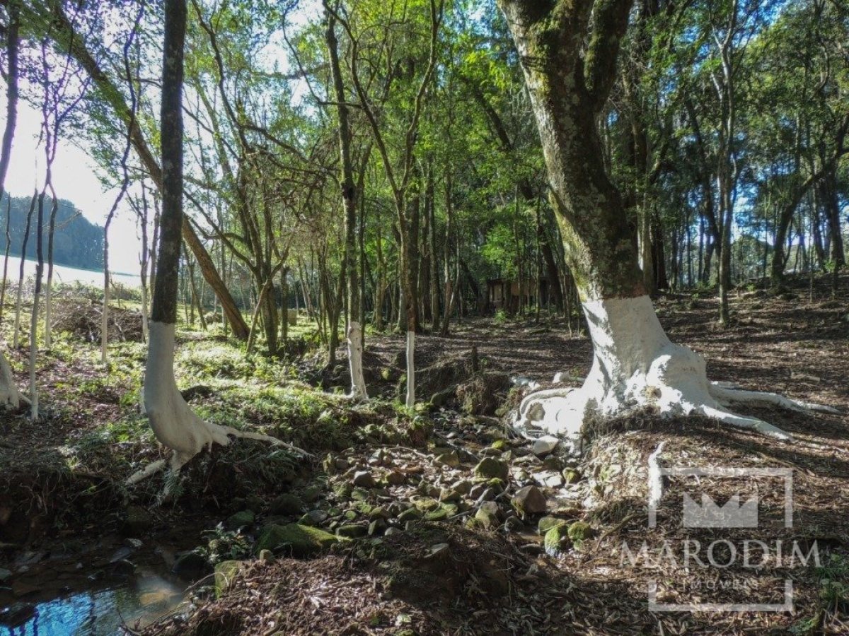 Sítio com 2212m², Nao suíte, no bairro Interior em Marau